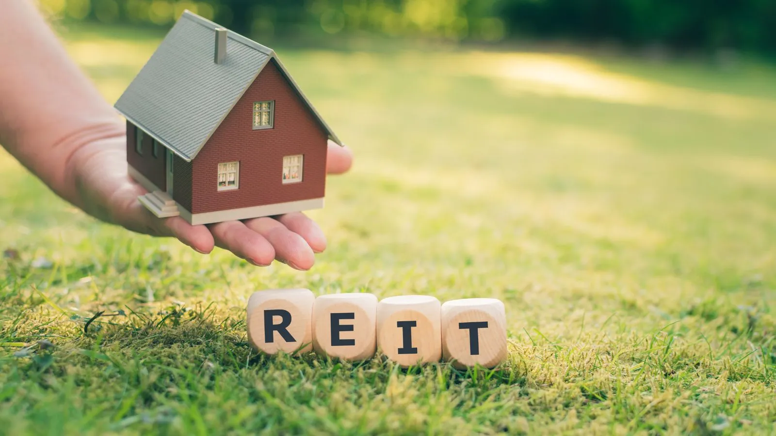 Real Estate Investment Trusts (REITs) A Beginner's Guide